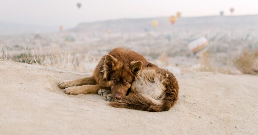 SEO İle Başarıya Giden Yolda: 2023’te Uymamız Gereken En Önemli Trendler